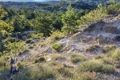 garrigue 2 thumbnail graphic